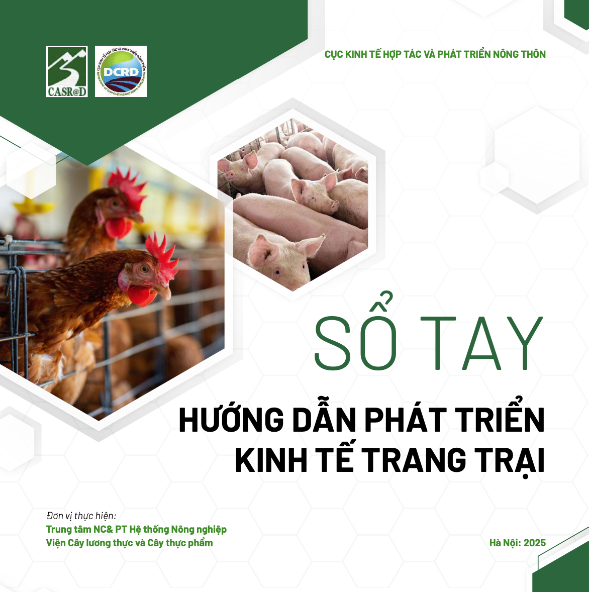 link liên kết